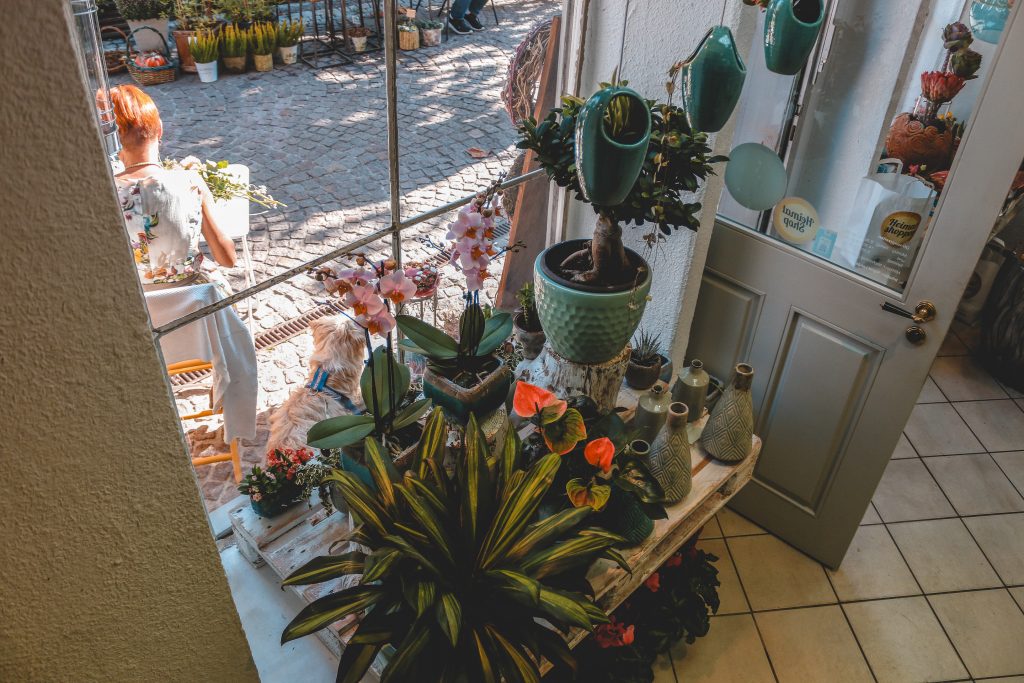 Blumenhaus am Markt