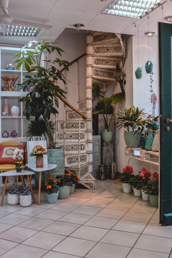 Blumenhaus am Markt