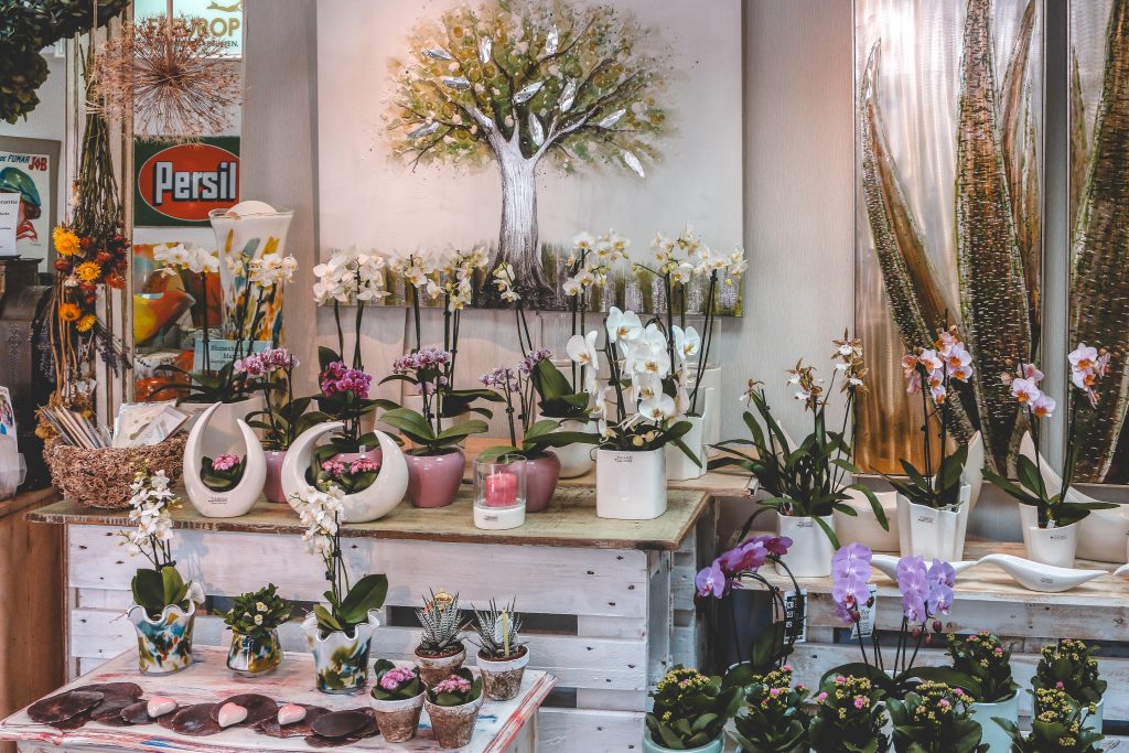 Blumenhaus am Markt