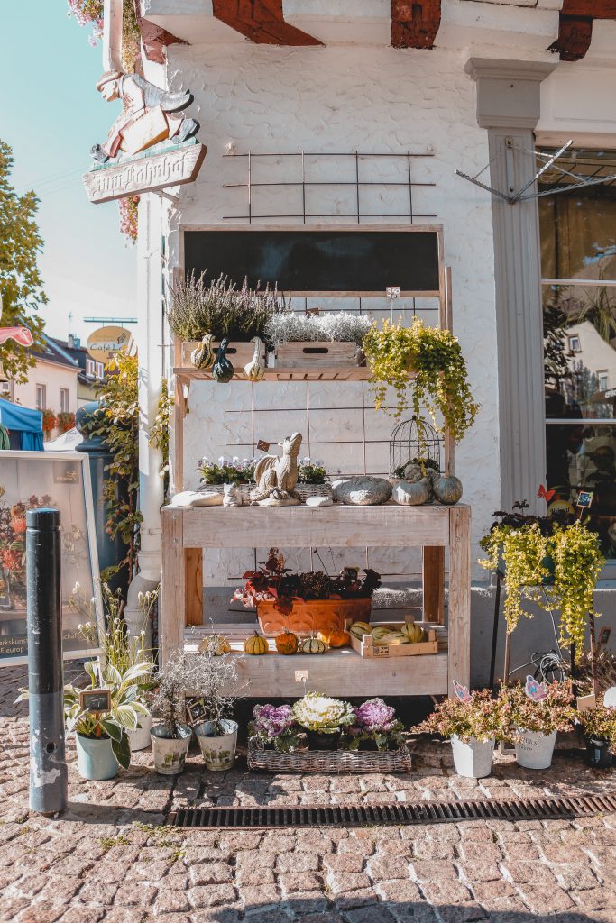 Blumenhaus am Markt