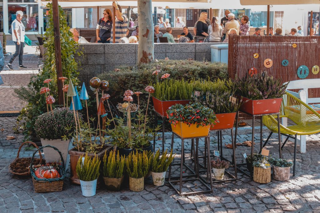 Blumenhaus am Markt