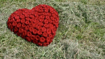 Blumen Herz – Bild 5