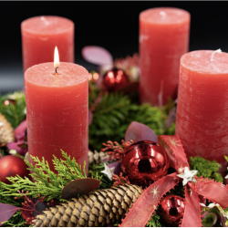 Workshop am 25. Okt.: Adventskränze wickeln