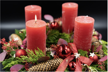 Workshop am 25. Okt.: Adventskränze wickeln