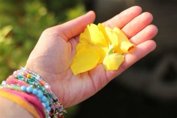 Blüten